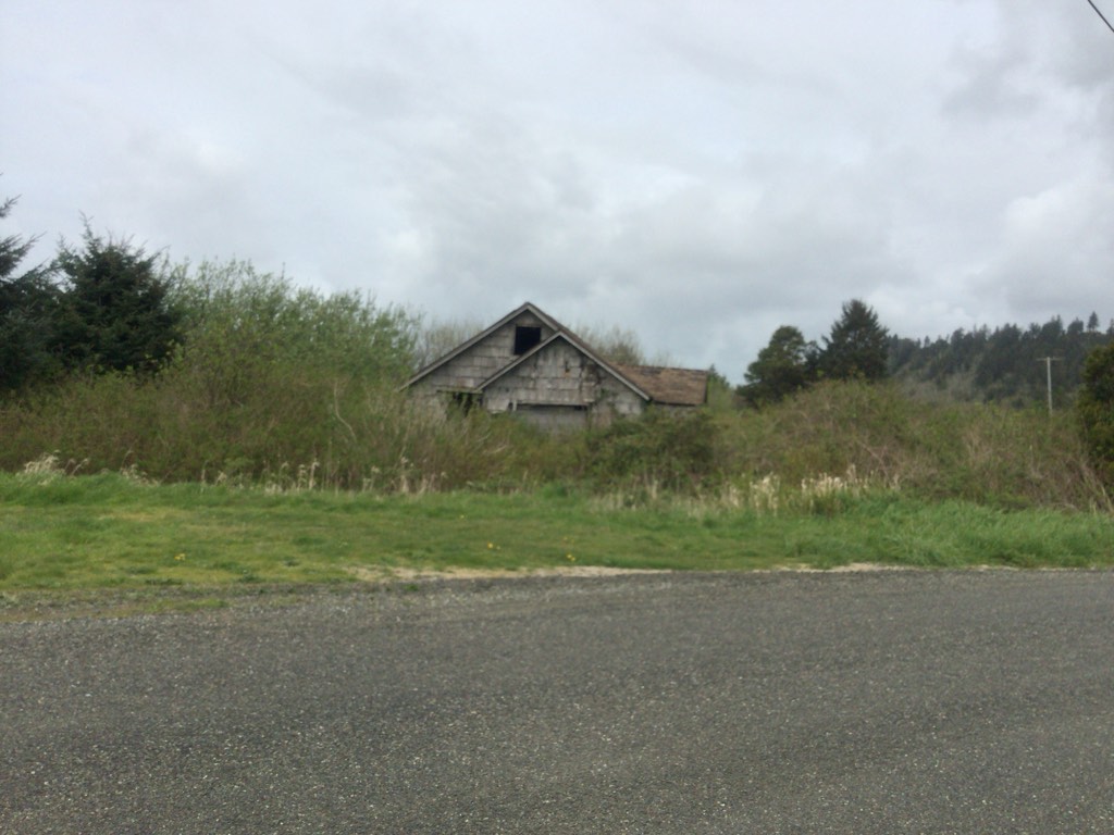 > Auction Detail > (1095269) Pacific County, WA APN