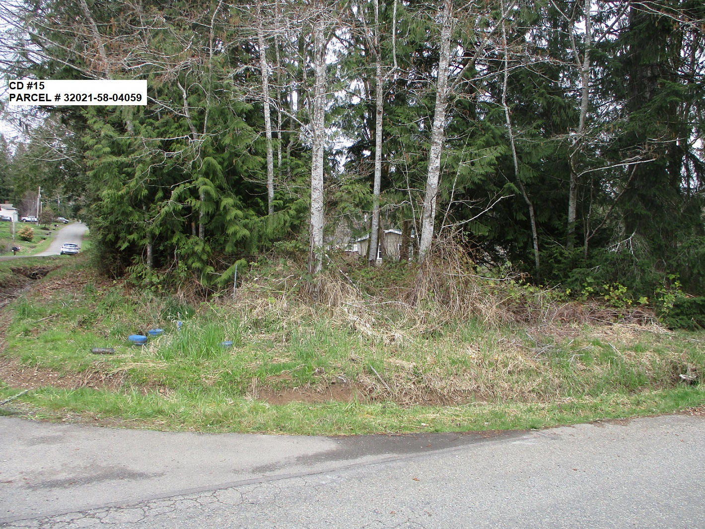 > Auction Detail > (1124758) Mason County, WA APN