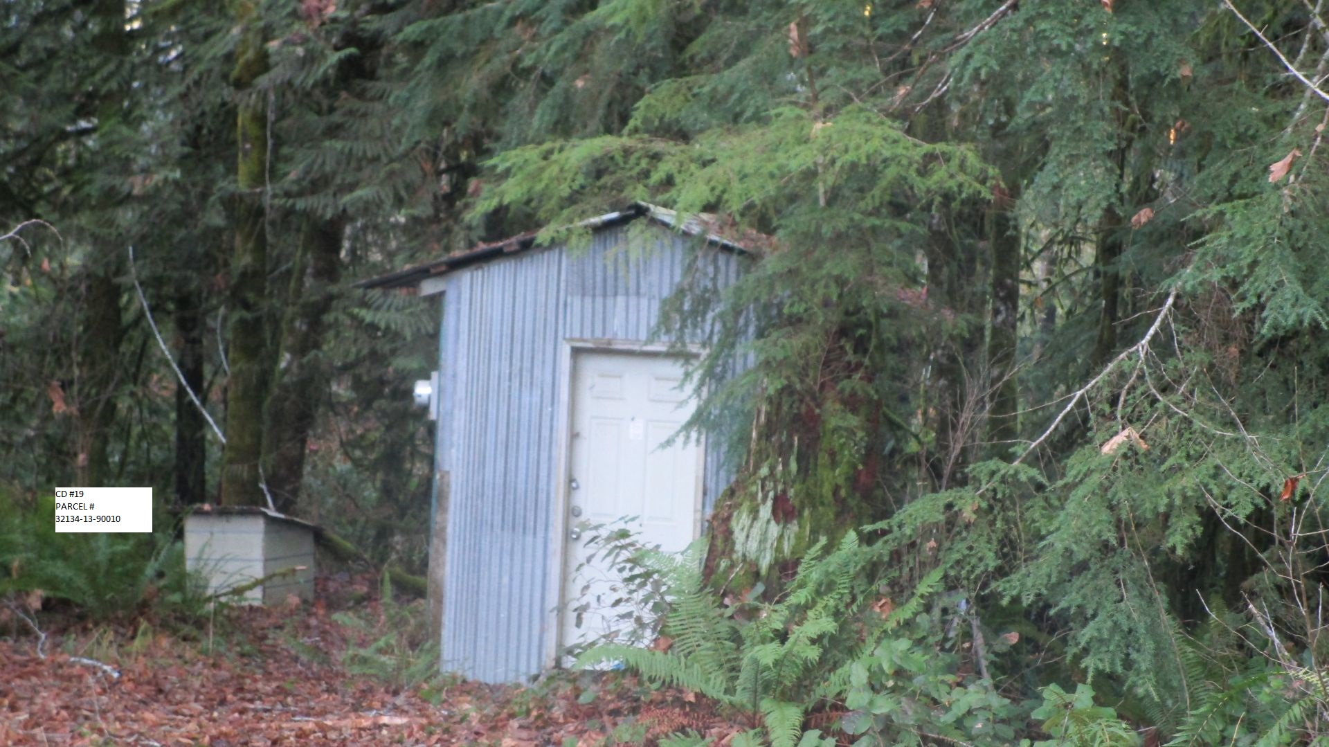 > Auction Detail > (1124761) Mason County, WA APN