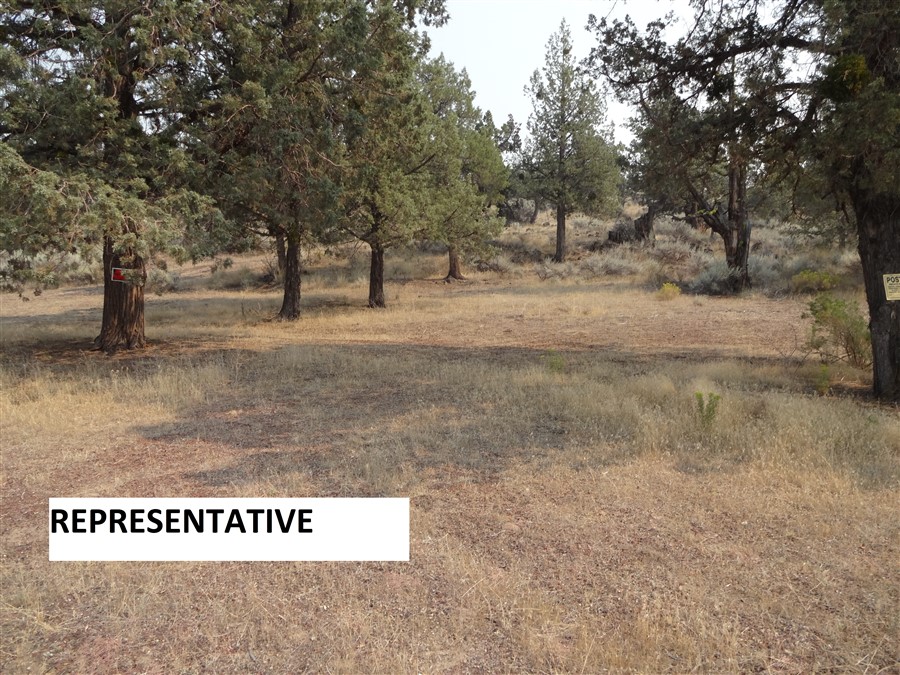> Auction Detail > (742880) Siskiyou County, CA APN