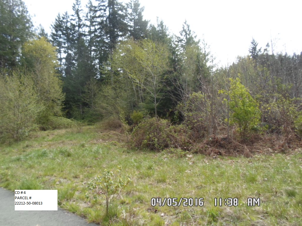> Auction Detail > (1124749) Mason County, WA APN