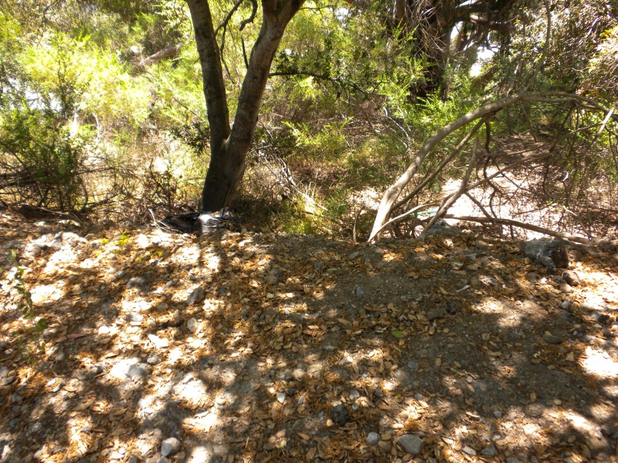 > Auction Detail > (619257) San Mateo County, CA APN